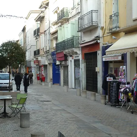 Spacieux Lumineux Coeur De Pamiers